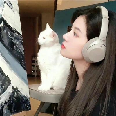 一周的偶像