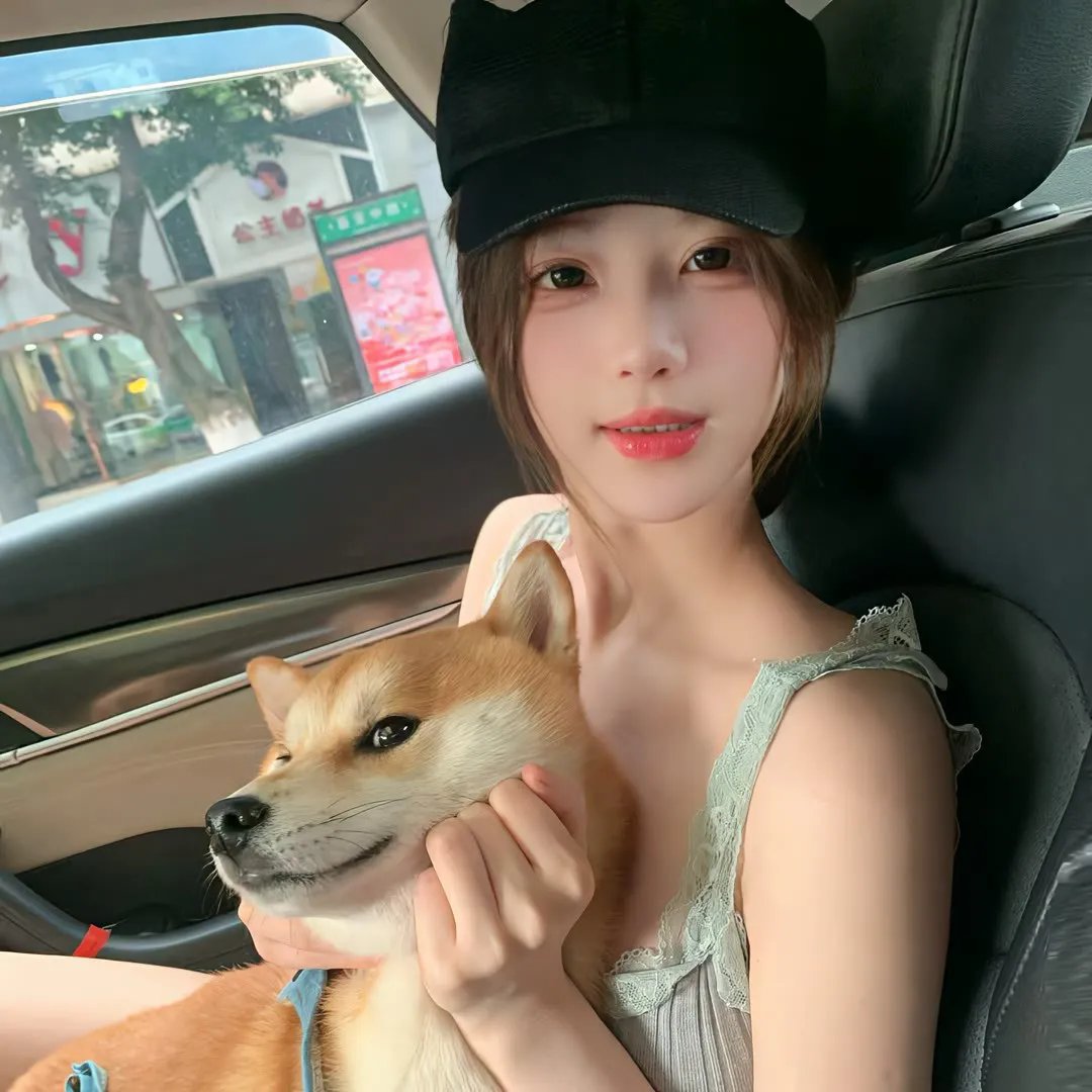 狗与剪刀的正确用法
